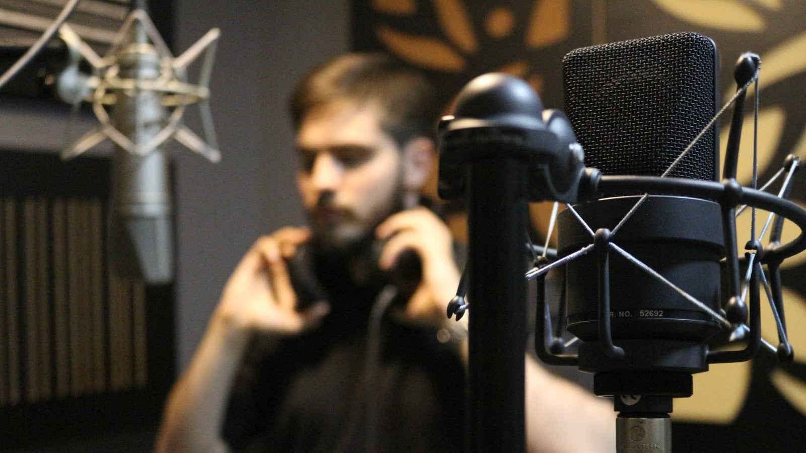 microphone for musicians