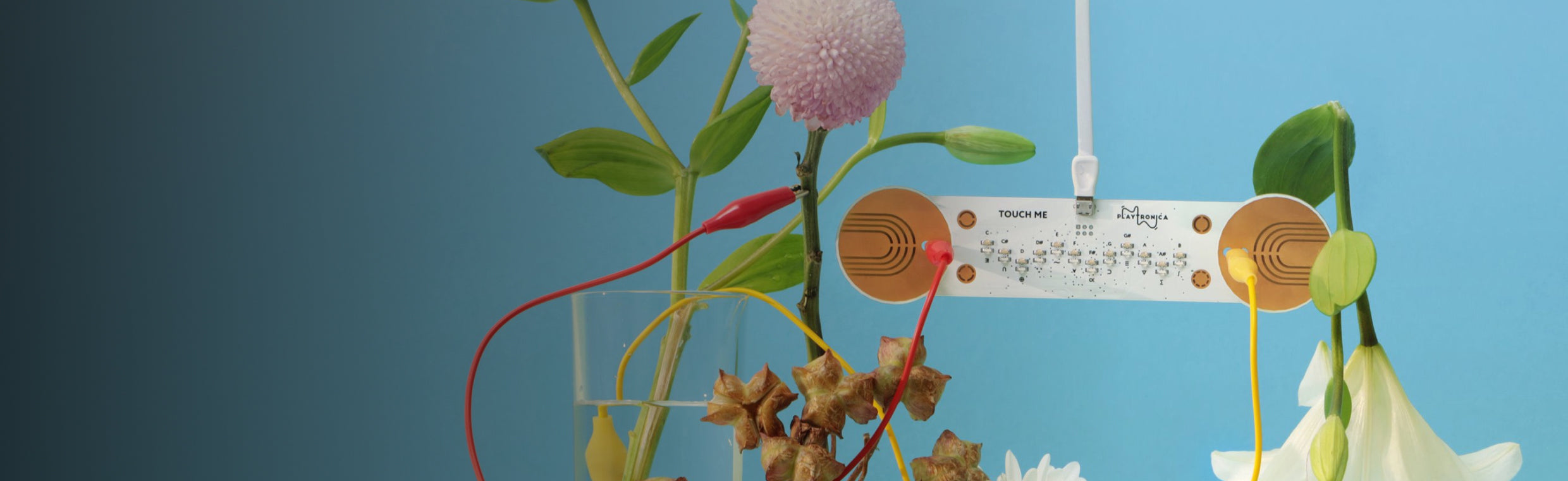 Not happy? Get your money back!