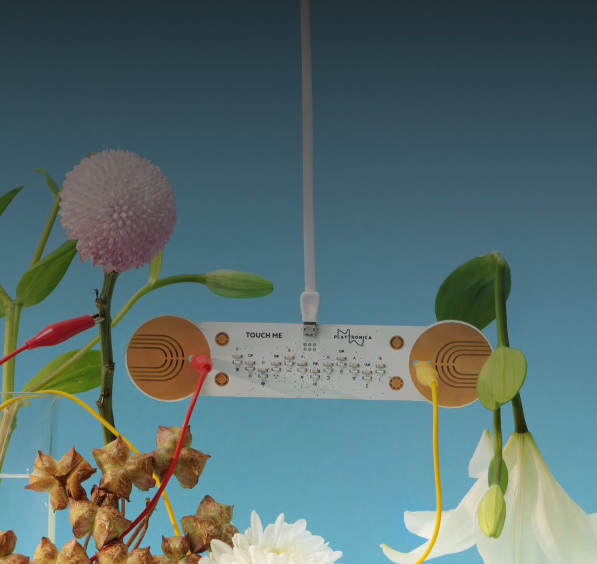 Not happy? Get your money back!