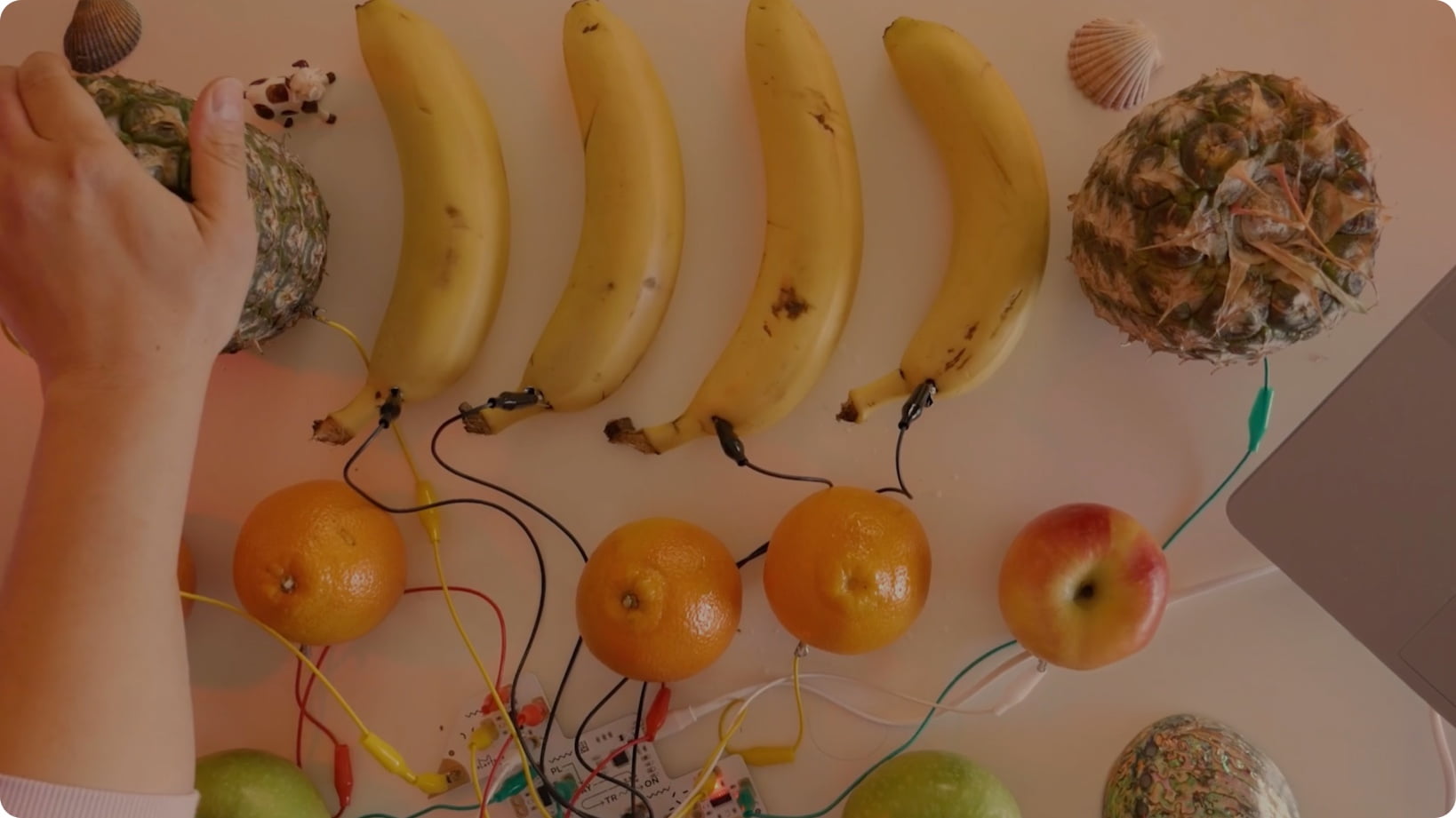 Video - Crearea unei orchestre de fructe