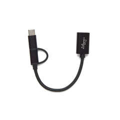 Playtronica USB-C adapter